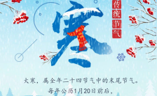 蓝色中国风二十四节气之一大寒宣传介绍手机海报缩略图