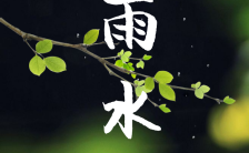 简约绿色中国传统二十四节气雨水手机海报缩略图