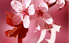 粉色唯美二十四节气之春分日签宣传海报缩略图