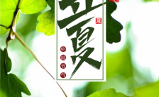 绿色简约清新文艺立夏节气宣传海报模板缩略图