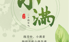 清新文艺小满中国传统二十四节气手机海报缩略图