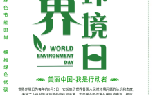 绿色简约世界环境日爱护环境公益宣传手机海报缩略图