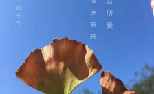立秋银杏叶落叶蓝天中国传统二十四节气诗意秋天海报缩略图
