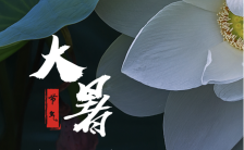 清新文艺中国传统大暑之二十四传统节气介绍手机海报缩略图