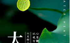大暑节气自然中国风宣传手机海报缩略图