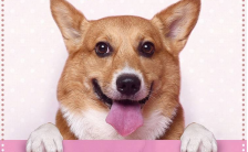 双十一光棍节单身狗狂欢派对粉色可爱脱单表白活动宣传海报缩略图