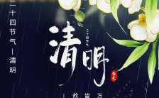 中国风传统文化清明节气日签手机海报缩略图