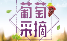 葡萄采摘水果店促销农家乐宣传小清新模板缩略图
