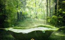 绿色森林自然小清新简约不简单旅游项目宣传缩略图