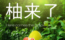 绿色清新农家绿色产品推广柚子食品邀请函缩略图