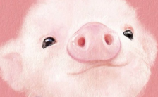 粉色小猪生日祝福贺卡缩略图