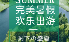 夏季森林系出游宣传手机海报缩略图