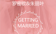 粉色浪漫文艺清新结婚请柬手机海报缩略图