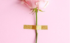 粉色玫瑰花三八妇女节企业活动手机海报缩略图